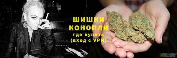 МДПВ Нея