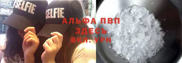 гашик Нефтекумск