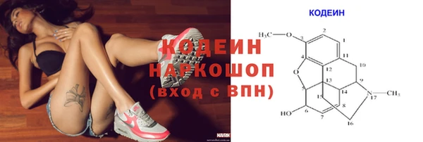 гашик Нефтекумск