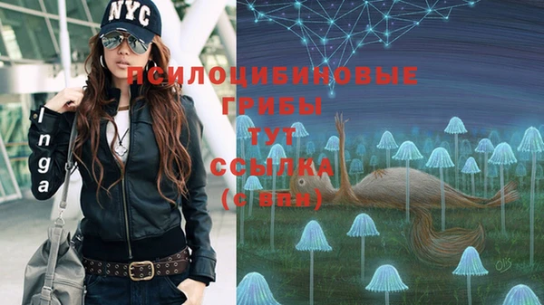 МДПВ Нея