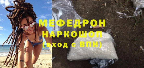 МДПВ Нея