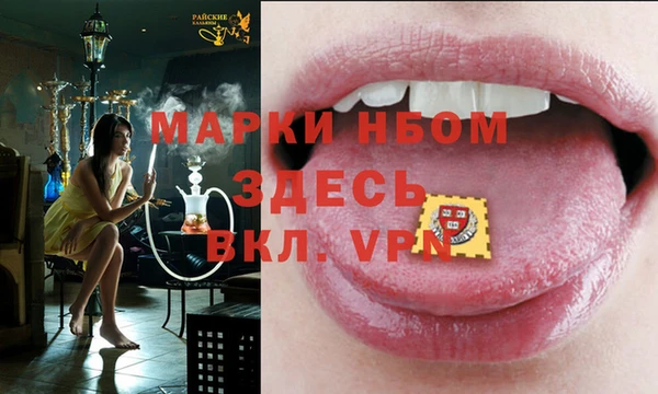 гашик Нефтекумск