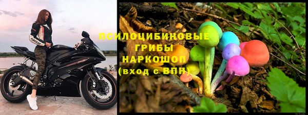 МДПВ Нея