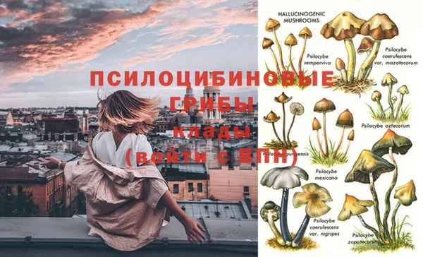 a pvp Нефтегорск