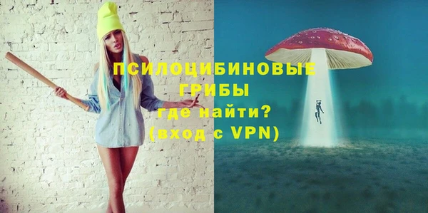 МДПВ Нея