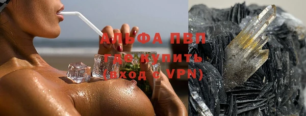 гашик Нефтекумск